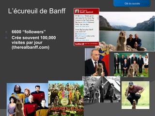 6600 “followers” Crée souvent 100,000 visites par jour (therealbanff.com) Clé du succès L’écureuil de Banff 