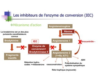 Les inhibiteurs de l’enzyme de conversion (IEC)
Angiotensinogène
Angiotensine 1
Angiotensine 2
(++Rc AT1)
Rénine
Bradykinine
Fragments
inactifs
Enzyme de
conversion=
Bradykininase II
xx
vasoconstriction
Rétention hydro-
sodée: ++Aldostérone
Potentialisation du
système sympathique
ADH
Rétrocontrôle -
xIEC
Rôle trophique (myocarde)
Mécanisme d’action
La bradykinine est un des plus
puissants vasodilatateurs
connus
 