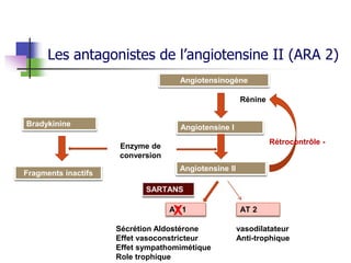 Les antagonistes de l’angiotensine II (ARA 2)
Angiotensinogène
Angiotensine I
Angiotensine II
Rénine
Bradykinine
Fragments inactifs
Enzyme de
conversion
AT 1 AT 2X
Sécrétion Aldostérone
Effet vasoconstricteur
Effet sympathomimétique
Role trophique
vasodilatateur
Anti-trophique
Rétrocontrôle -
 