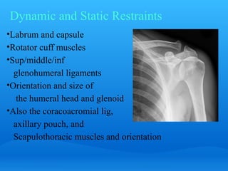 Dynamic and Static Restraints
•Labrum and capsule
•Rotator cuff muscles
•Sup/middle/inf
  glenohumeral ligaments
•Orientation and size of
   the humeral head and glenoid
•Also the coracoacromial lig,
  axillary pouch, and
  Scapulothoracic muscles and orientation
 