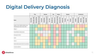 Digital Delivery Diagnosis
13
 