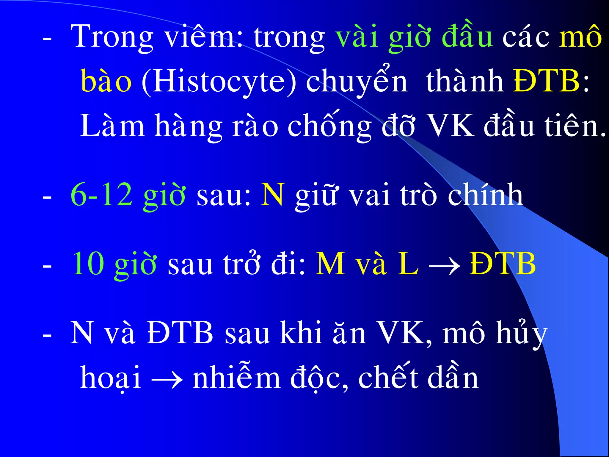 - Trong vieâm: trong vaøi giôø ñaàu caùc moâ
baøo (Histocyte) chuyeån thaønh ÑTB:
Laøm haøng raøo choáng ñôõ VK ñaàu tieân.
- 6-12 giôø sau: N giöõ vai troø chính
- 10 giôø sau trôû ñi: M vaø L  ÑTB
- N vaø ÑTB sau khi aên VK, moâ huûy
hoaïi  nhieãm ñoäc, cheát daàn
 