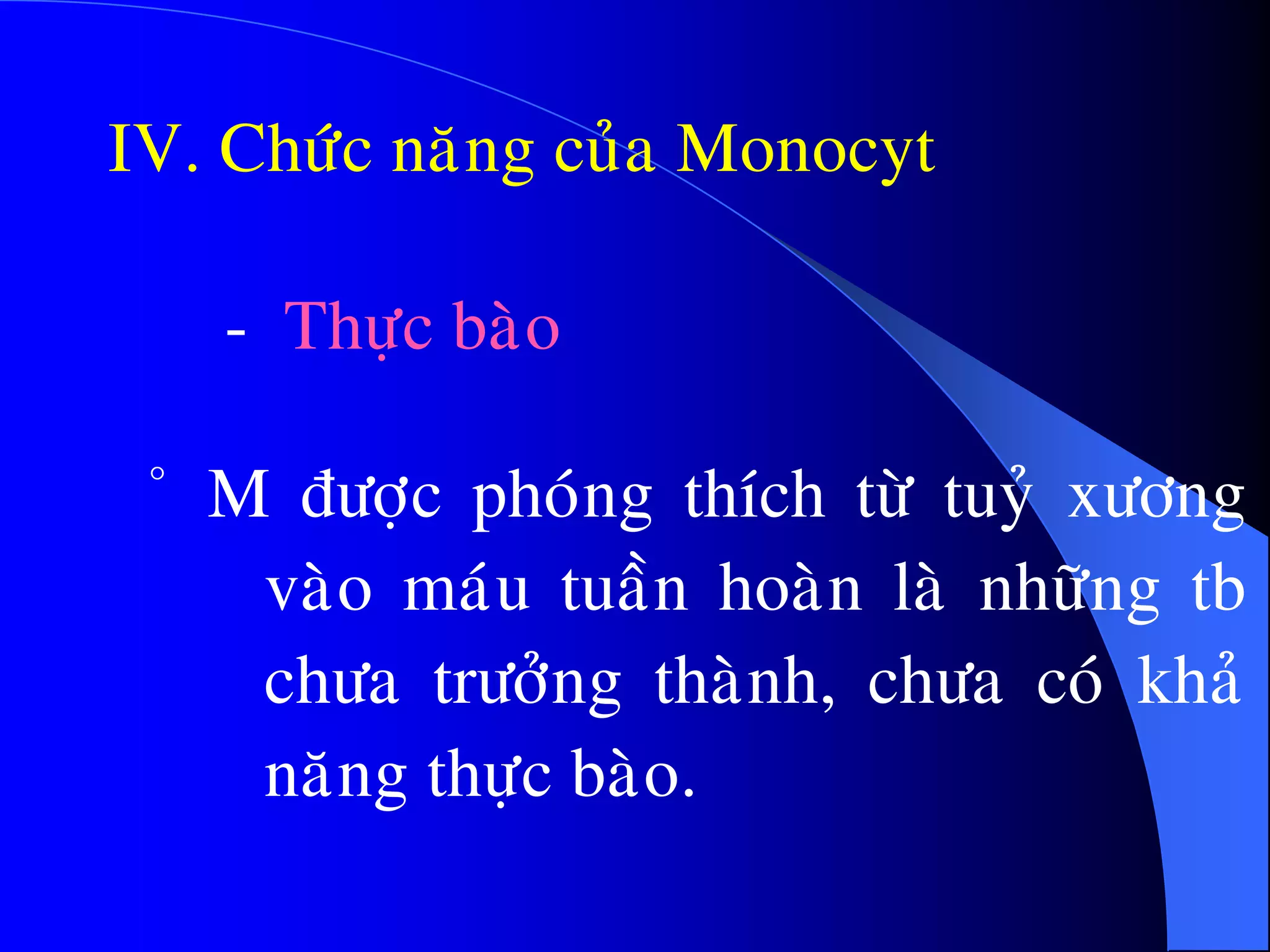 IV. Chöùc naêng cuûa Monocyt
· M ñöôïc phoùng thích töø tuyû xöông
vaøo maùu tuaàn hoaøn laø nhöõng tb
chöa tröôûng thaønh, chöa coù khaû
naêng thöïc baøo.
- Thöïc baøo
 