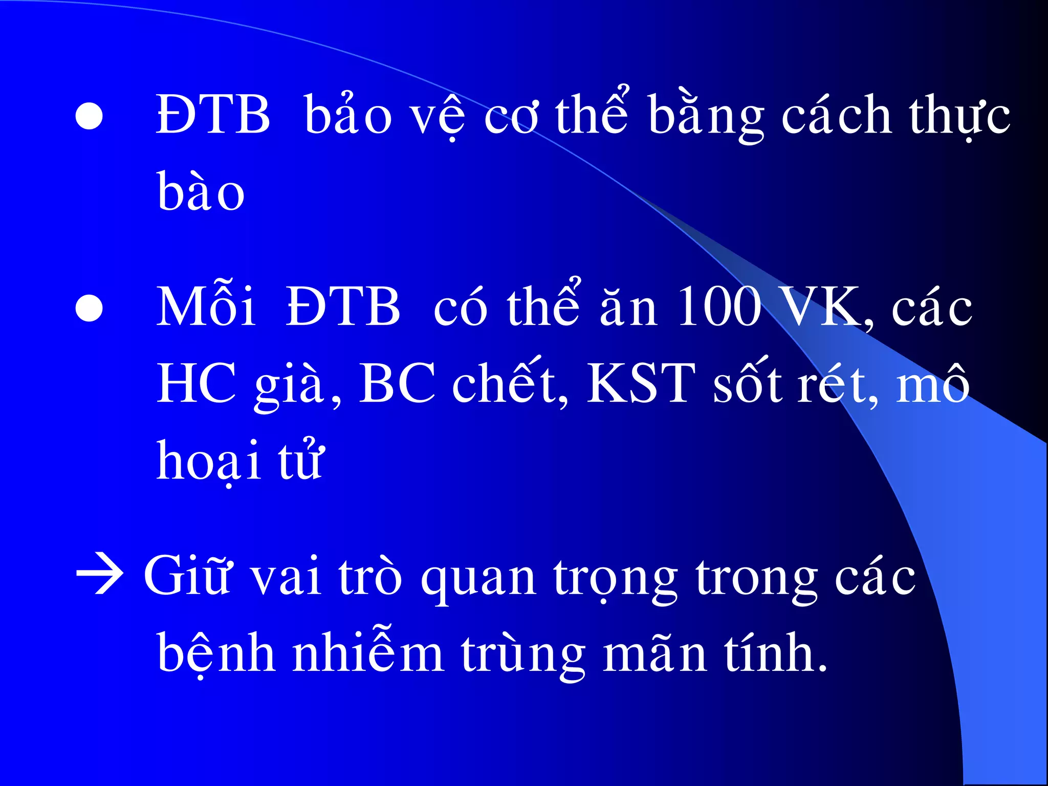  ÑTB baûo veä cô theå baèng caùch thöïc
baøo
 Moãi ÑTB coù theå aên 100 VK, caùc
HC giaø, BC cheát, KST soát reùt, moâ
hoaïi töû
 Giöõ vai troø quan troïng trong caùc
beänh nhieãm truøng maõn tính.
 
