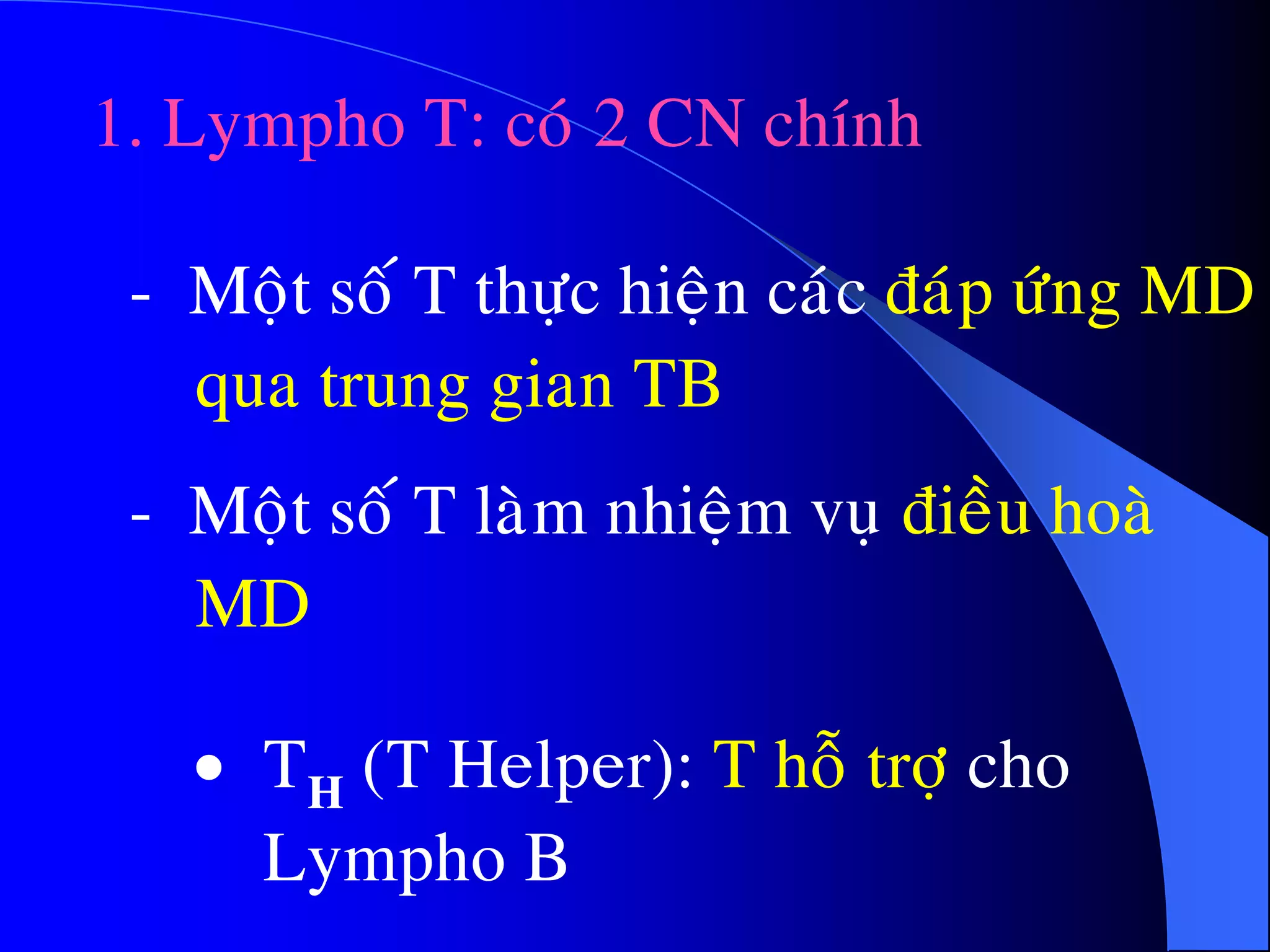 1. Lympho T: coù 2 CN chính
- Moät soá T thöïc hieän caùc ñaùp öùng MD
qua trung gian TB
- Moät soá T laøm nhieäm vuï ñieàu hoaø
MD
 TH (T Helper): T hoã trôï cho
Lympho B
 