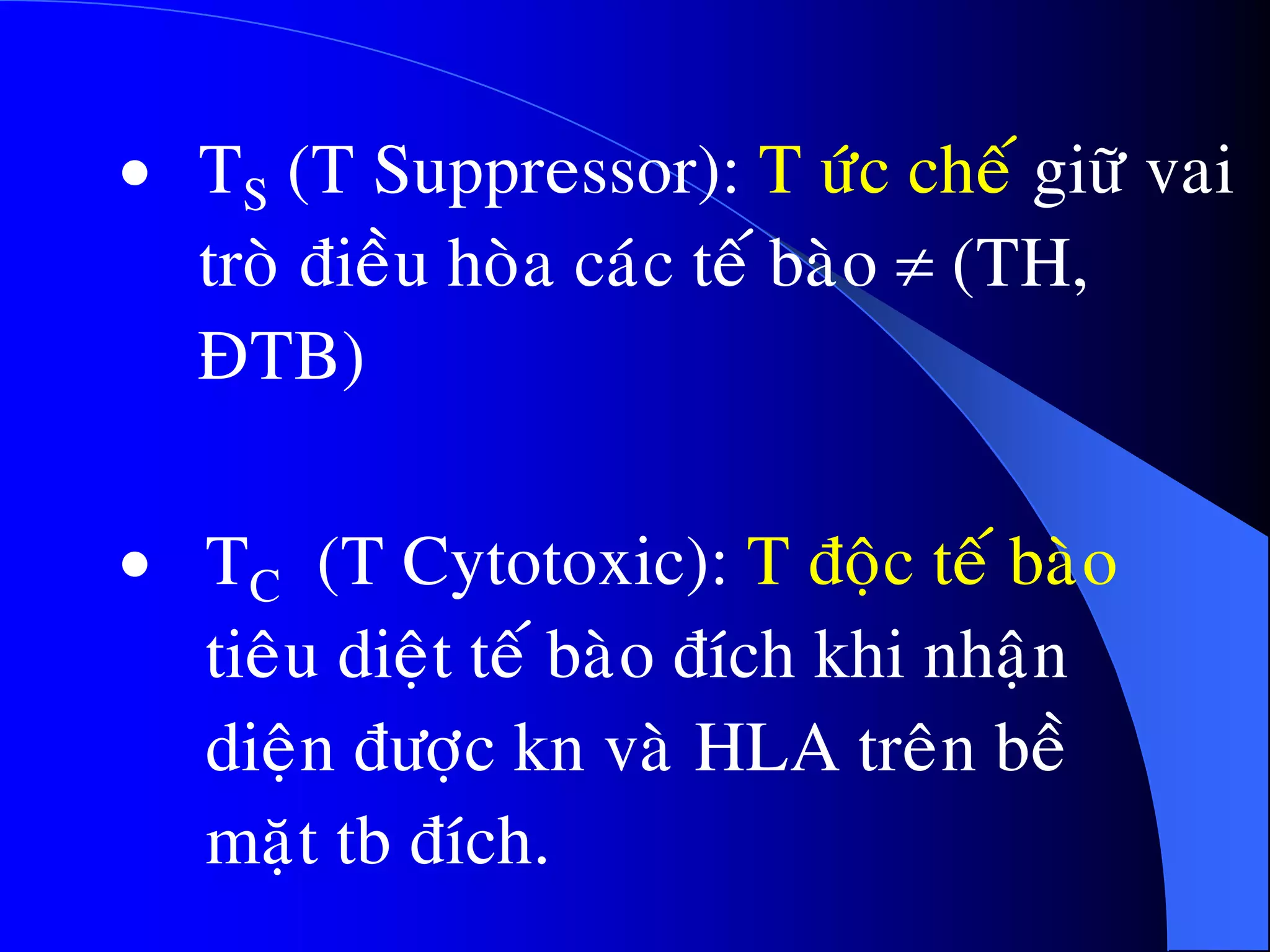  TS (T Suppressor): T öùc cheá giöõ vai
troø ñieàu hoøa caùc teá baøo  (TH,
ÑTB)
 TC (T Cytotoxic): T ñoäc teá baøo
tieâu dieät teá baøo ñích khi nhaän
dieän ñöôïc kn vaø HLA treân beà
maët tb ñích.
 