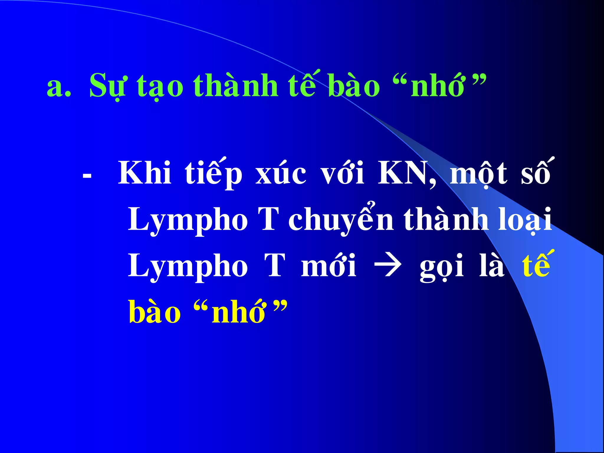 a. Söï taïo thaønh teá baøo “nhôù”
- Khi tieáp xuùc vôùi KN, moät soá
Lympho T chuyeån thaønh loaïi
Lympho T môùi  goïi laø teá
baøo “nhôù”
 