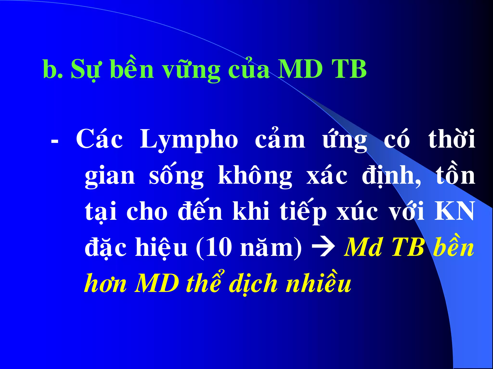 b. Söï beàn vöõng cuûa MD TB
- Caùc Lympho caûm öùng coù thôøi
gian soáng khoâng xaùc ñònh, toàn
taïi cho ñeán khi tieáp xuùc vôùi KN
ñaëc hieäu (10 naêm)  Md TB beàn
hôn MD theå dòch nhieàu
 