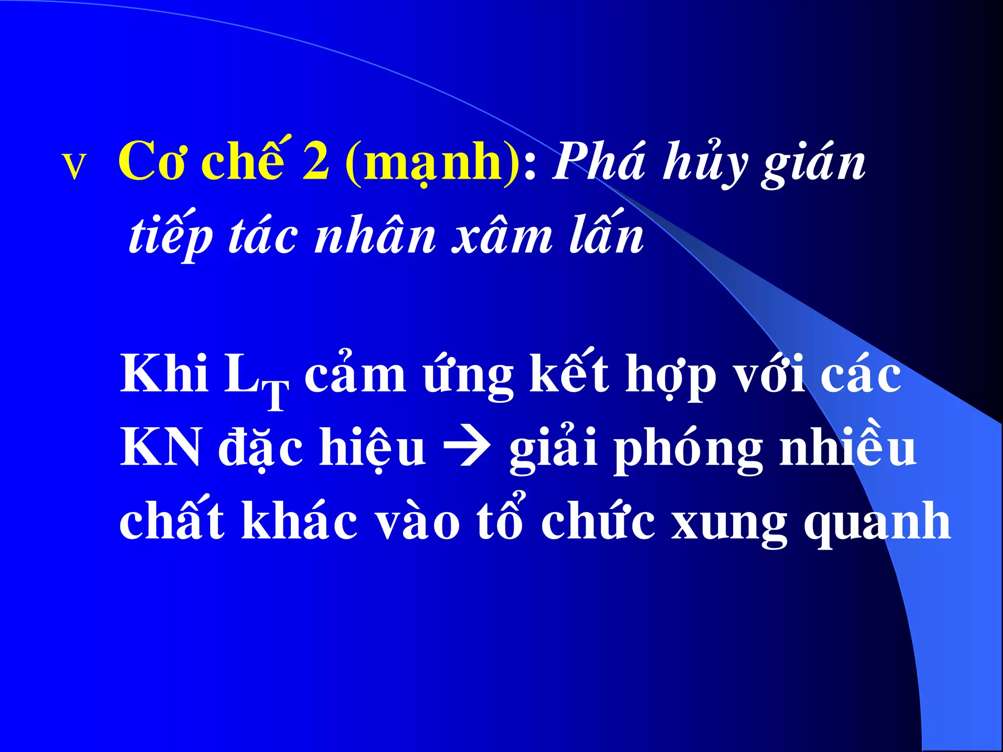 v Cô cheá 2 (maïnh): Phaù huûy giaùn
tieáp taùc nhaân xaâm laán
Khi LT caûm öùng keát hôïp vôùi caùc
KN ñaëc hieäu  giaûi phoùng nhieàu
chaát khaùc vaøo toå chöùc xung quanh
 