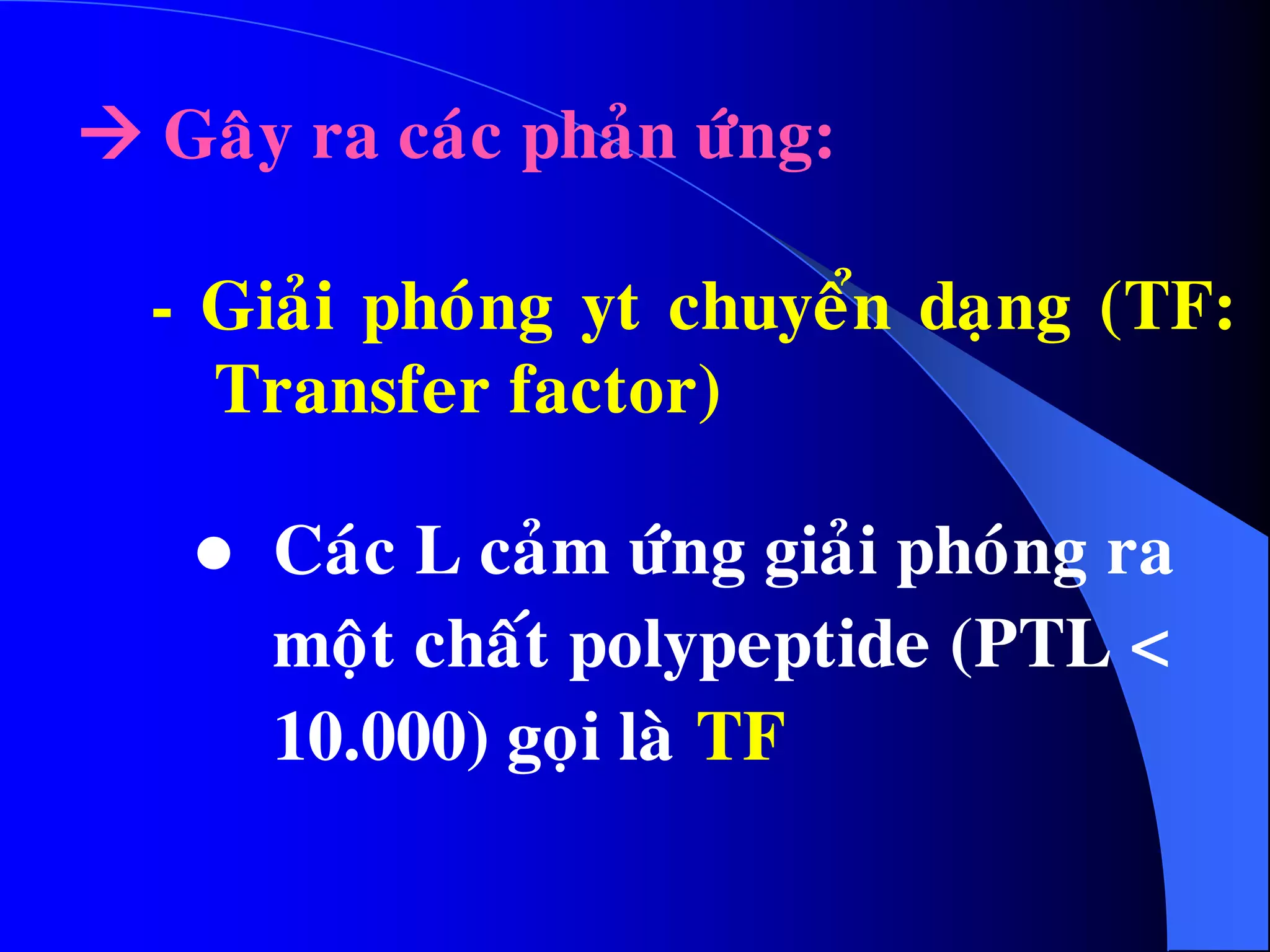  Caùc L caûm öùng giaûi phoùng ra
moät chaát polypeptide (PTL <
10.000) goïi laø TF
- Giaûi phoùng yt chuyeån daïng (TF:
Transfer factor)
 Gaây ra caùc phaûn öùng:
 
