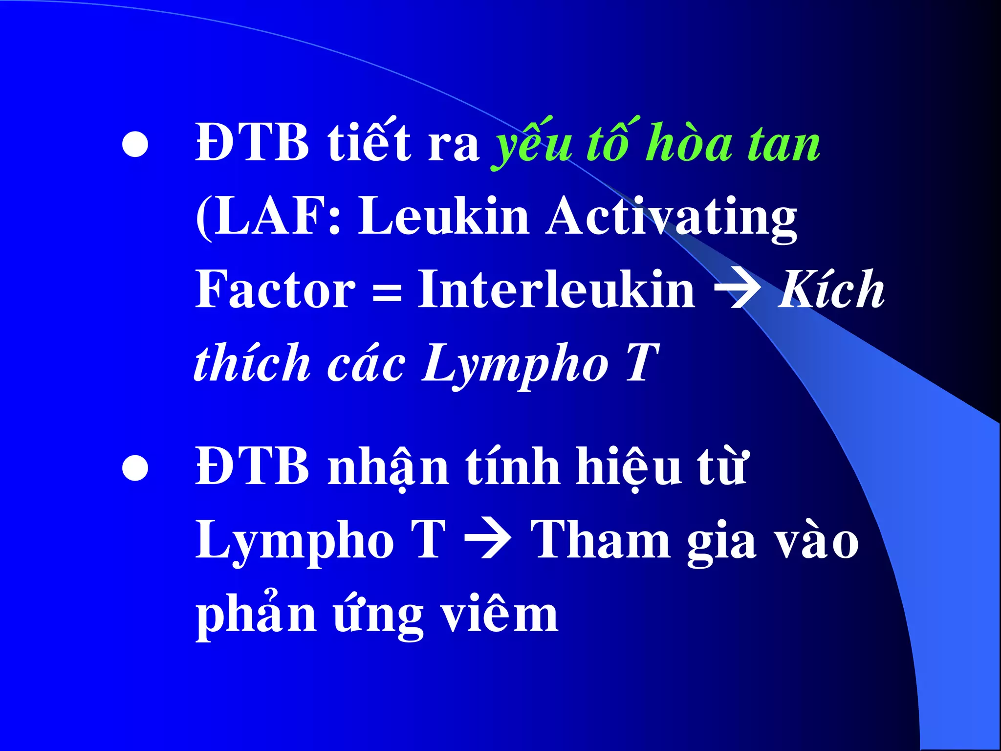  ÑTB tieát ra yeáu toá hoøa tan
(LAF: Leukin Activating
Factor = Interleukin  Kích
thích caùc Lympho T
 ÑTB nhaän tính hieäu töø
Lympho T  Tham gia vaøo
phaûn öùng vieâm
 