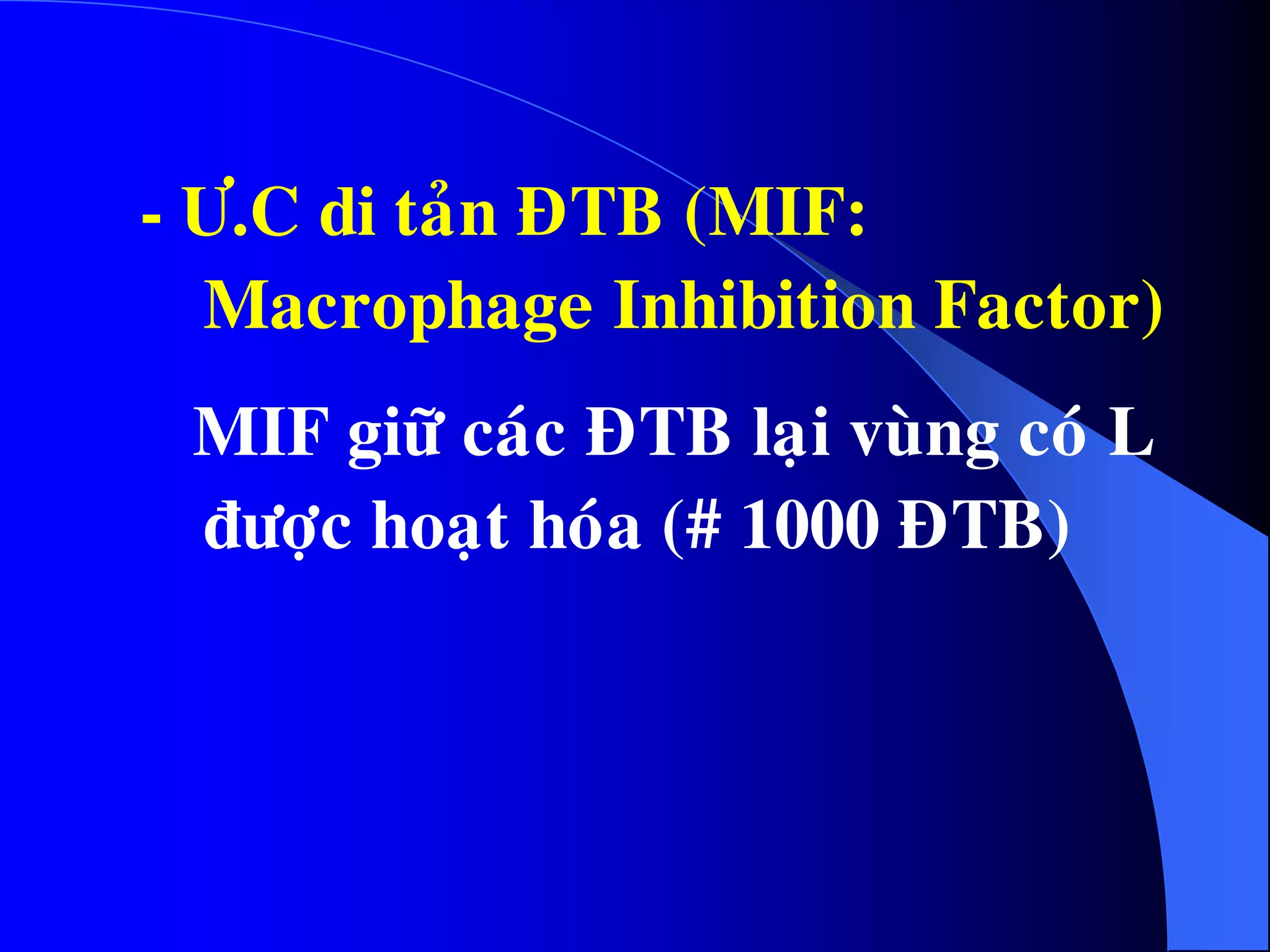 - Ö.C di taûn ÑTB (MIF:
Macrophage Inhibition Factor)
MIF giöõ caùc ÑTB laïi vuøng coù L
ñöôïc hoaït hoùa (# 1000 ÑTB)
 