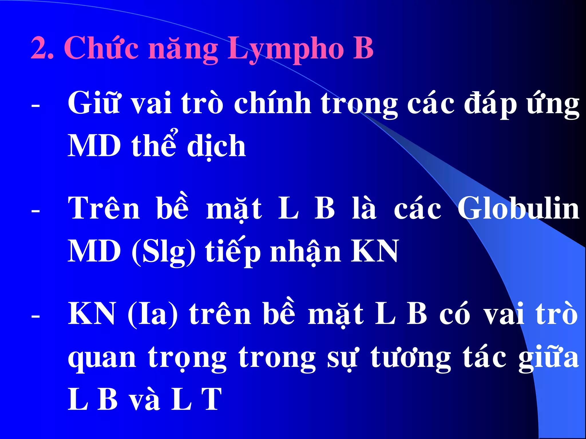 2. Chöùc naêng Lympho B
- Giöõ vai troø chính trong caùc ñaùp öùng
MD theå dòch
- Treân beà maët L B laø caùc Globulin
MD (Slg) tieáp nhaän KN
- KN (Ia) treân beà maët L B coù vai troø
quan troïng trong söï töông taùc giöõa
L B vaø L T
 