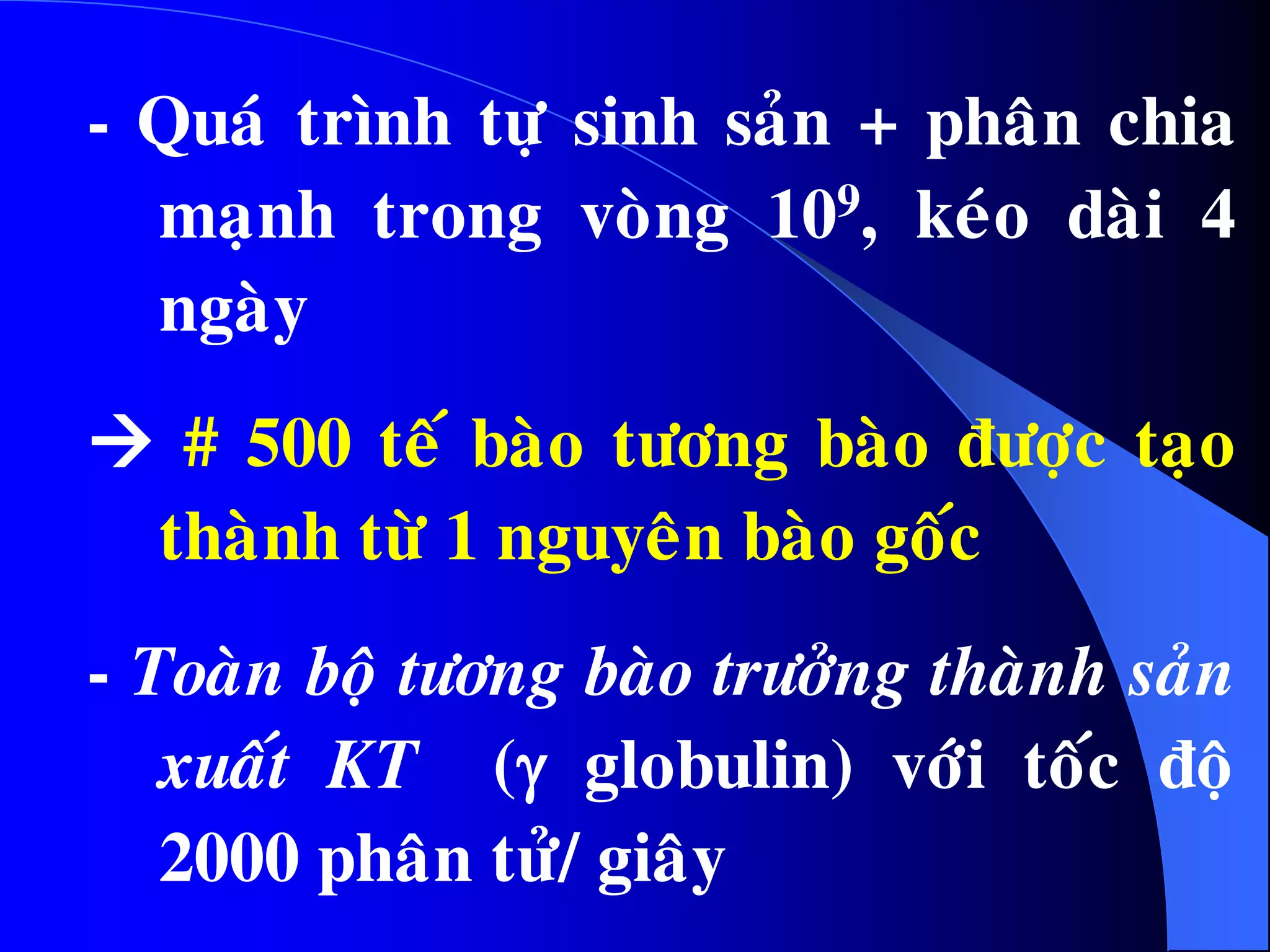- Quaù trình töï sinh saûn + phaân chia
maïnh trong voøng 109, keùo daøi 4
ngaøy
 # 500 teá baøo töông baøo ñöôïc taïo
thaønh töø 1 nguyeân baøo goác
- Toaøn boä töông baøo tröôûng thaønh saûn
xuaát KT ( globulin) vôùi toác ñoä
2000 phaân töû/ giaây
 
