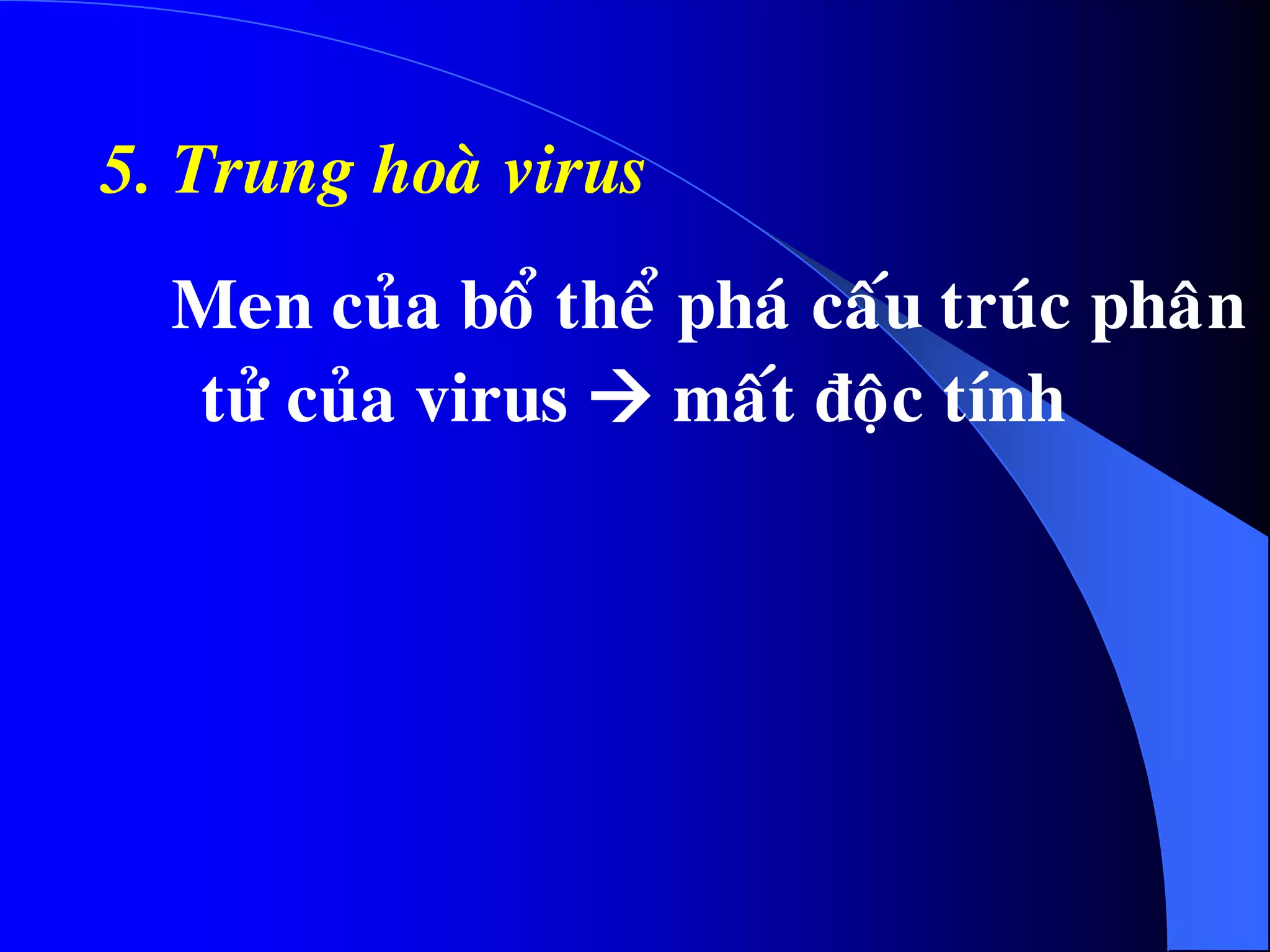5. Trung hoaø virus
Men cuûa boå theå phaù caáu truùc phaân
töû cuûa virus  maát ñoäc tính
 