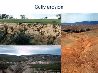 Gully erosion
 