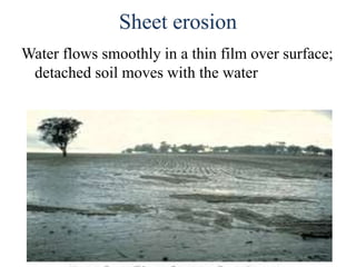 Sheet erosion
Water flows smoothly in a thin film over surface;
detached soil moves with the water
 