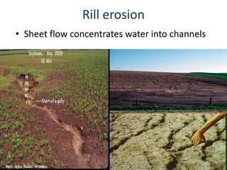 Rill erosion
• Sheet flow concentrates water into channels
 