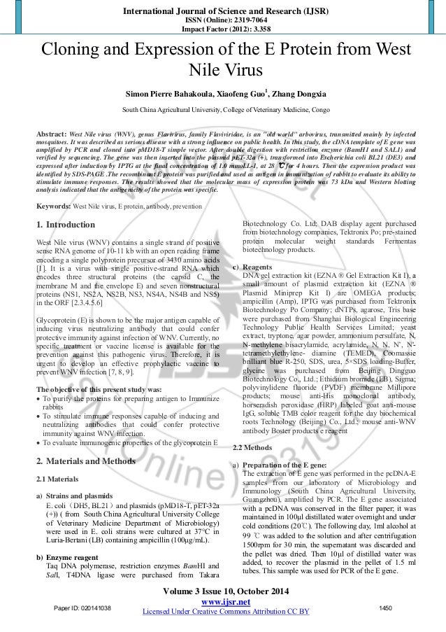 business essay samples band 8 pdf