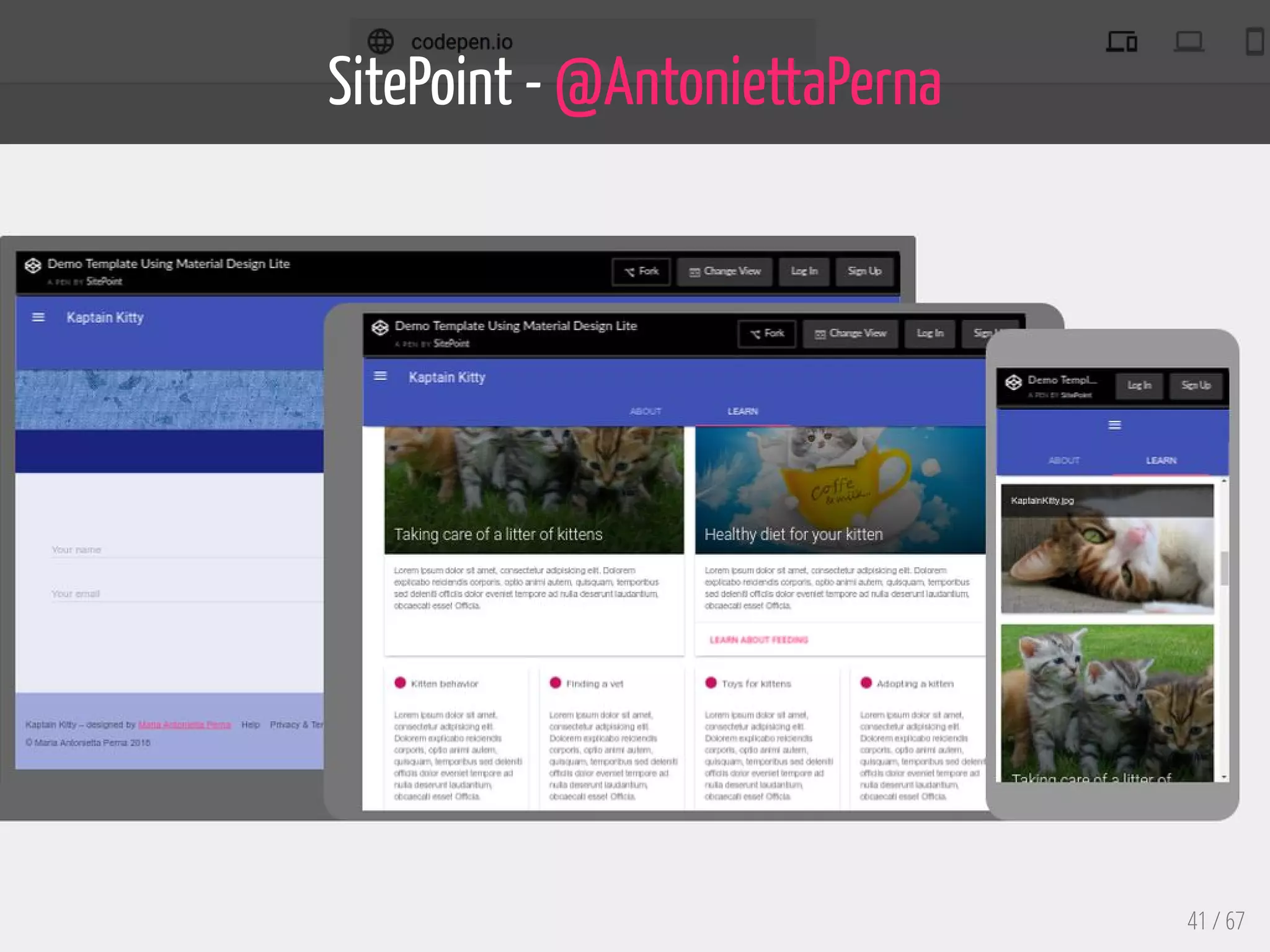 SitePoint - @AntoniettaPerna
41 / 67
 