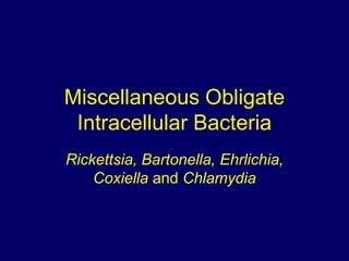 Miscellaneous Obligate
 Intracellular Bacteria
Rickettsia, Bartonella, Ehrlichia,
    Coxiella and Chlamydia
 