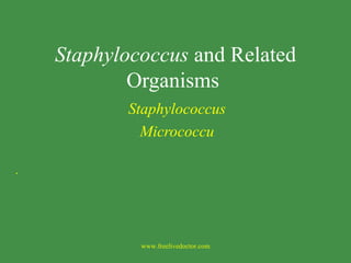 Staphylococcus  and Related Organisms  Staphylococcus Micrococcu . www.freelivedoctor.com 