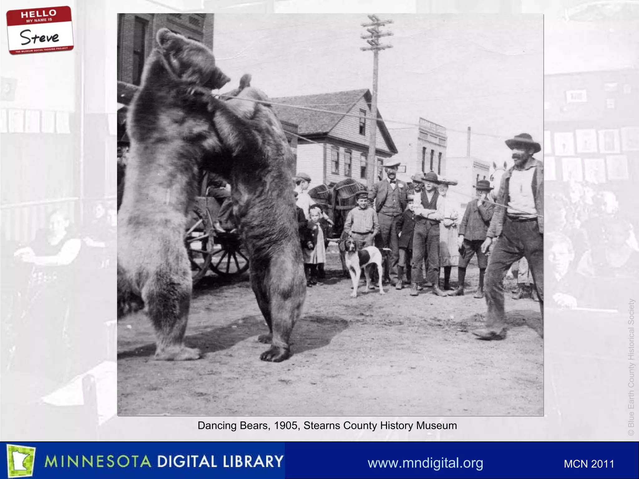 Dancing Bears, 1905, Stearns County History Museum 