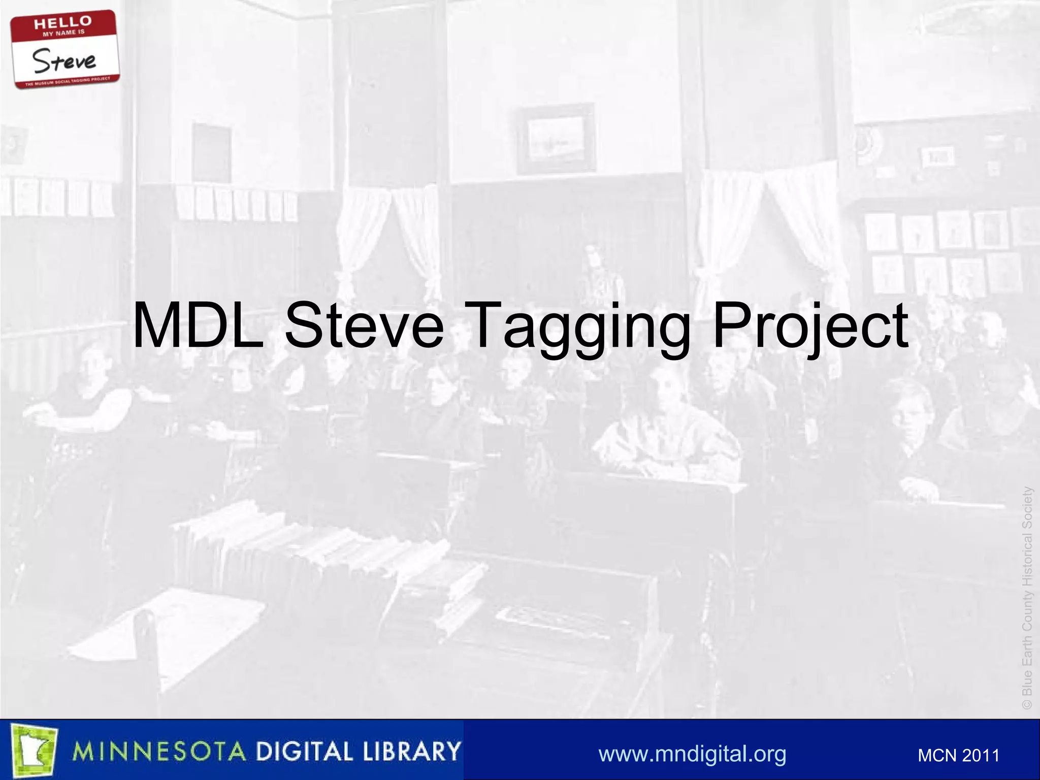 MDL Steve Tagging Project 