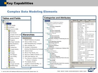 Key Capabilities Complex Data Modeling Elements  Hierarchies Categories and Attributes Tables and Fields 