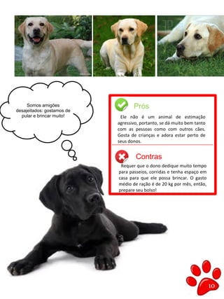 10
Somos amigões
desajeitados: gostamos de
pular e brincar muito!
shsjhdejkhdjh
ehdnkjeijeijkd
kwkekwhekw
asehhdjdhfjhd
jhekjdhfkjhhfh
Prós
Contras
Ele não é um animal de estimação
agressivo, portanto, se dá muito bem tanto
com as pessoas como com outros cães.
Gosta de crianças e adora estar perto de
seus donos.
Requer que o dono dedique muito tempo
para passeios, corridas e tenha espaço em
casa para que ele possa brincar. O gasto
médio de ração é de 20 kg por mês, então,
prepare seu bolso!
 