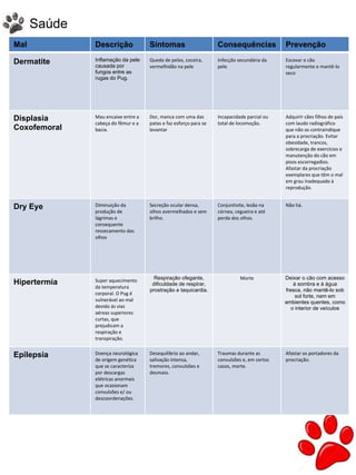 26
Mal Descrição Sintomas Consequências Prevenção
Dermatite Inflamação da pele
causada por
fungos entre as
rugas do Pug.
Queda de pelos, coceira,
vermelhidão na pele
Infecção secundária da
pele
Escovar o cão
regularmente e mantê-lo
seco
Displasia
Coxofemoral
Mau encaixe entre a
cabeça do fêmur e a
bacia.
Dor, manca com uma das
patas e faz esforço para se
levantar
Incapacidade parcial ou
total de locomoção.
Adquirir cães filhos de pais
com laudo radiográfico
que não os contraindique
para a procriação. Evitar
obesidade, trancos,
sobrecarga de exercícios e
manutenção do cão em
pisos escorregadios.
Afastar da procriação
exemplares que têm o mal
em grau inadequado à
reprodução.
Dry Eye Diminuição da
produção de
lágrimas e
consequente
ressecamento dos
olhos
Secreção ocular densa,
olhos avermelhados e sem
brilho.
Conjuntivite, lesão na
córnea, cegueira e até
perda dos olhos.
Não há.
Hipertermia Super aquecimento
da temperatura
corporal. O Pug é
vulnerável ao mal
devido às vias
aéreas superiores
curtas, que
prejudicam a
respiração e
transpiração.
Respiração ofegante,
dificuldade de respirar,
prostração e taquicardia.
Morte Deixar o cão com acesso
à sombra e à água
fresca, não mantê-lo sob
sol forte, nem em
ambientes quentes, como
o interior de veículos
Epilepsia Doença neurológica
de origem genética
que se caracteriza
por descargas
elétricas anormais
que ocasionam
convulsões e/ ou
descoordenações.
Desequilíbrio ao andar,
salivação intensa,
tremores, convulsões e
desmaio.
Traumas durante as
convulsões e, em certos
casos, morte.
Afastar os portadores da
procriação.
Saúde
 