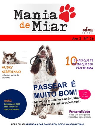 Casinha para Cachorros e Gatos Xadrez Rosa  Bichinho Virtual - Bichinho  Virtual Store