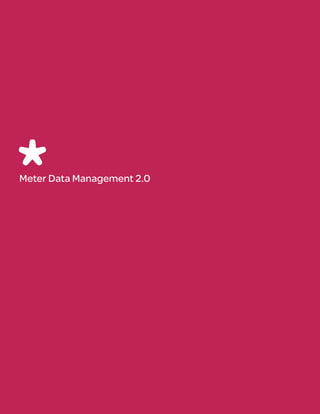 Meter Data Management 2.0
 