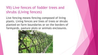 Practices of agroforestry system | PPTX
