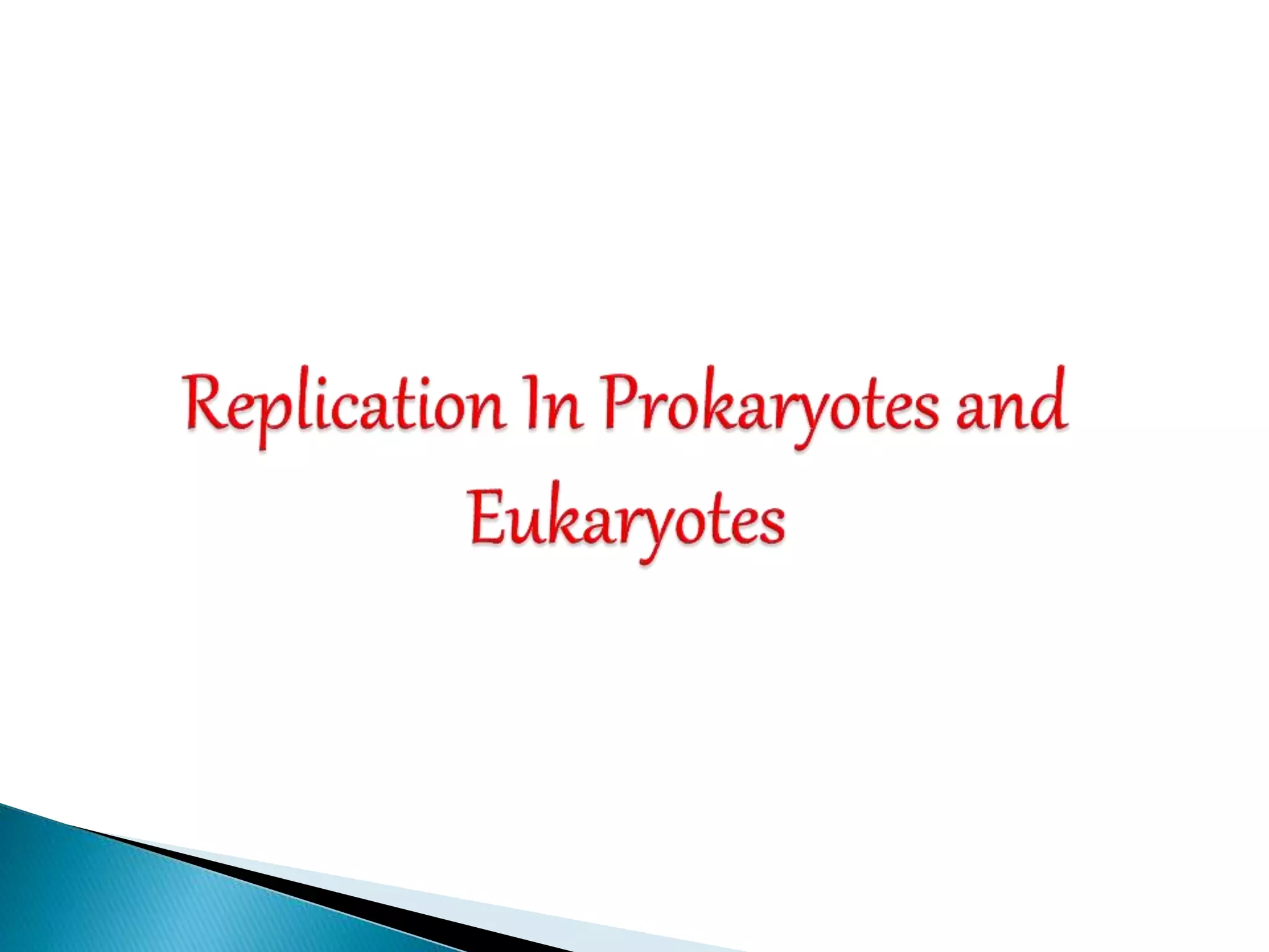 Replication In Eukaryotes and Prokaryotes | PPTX