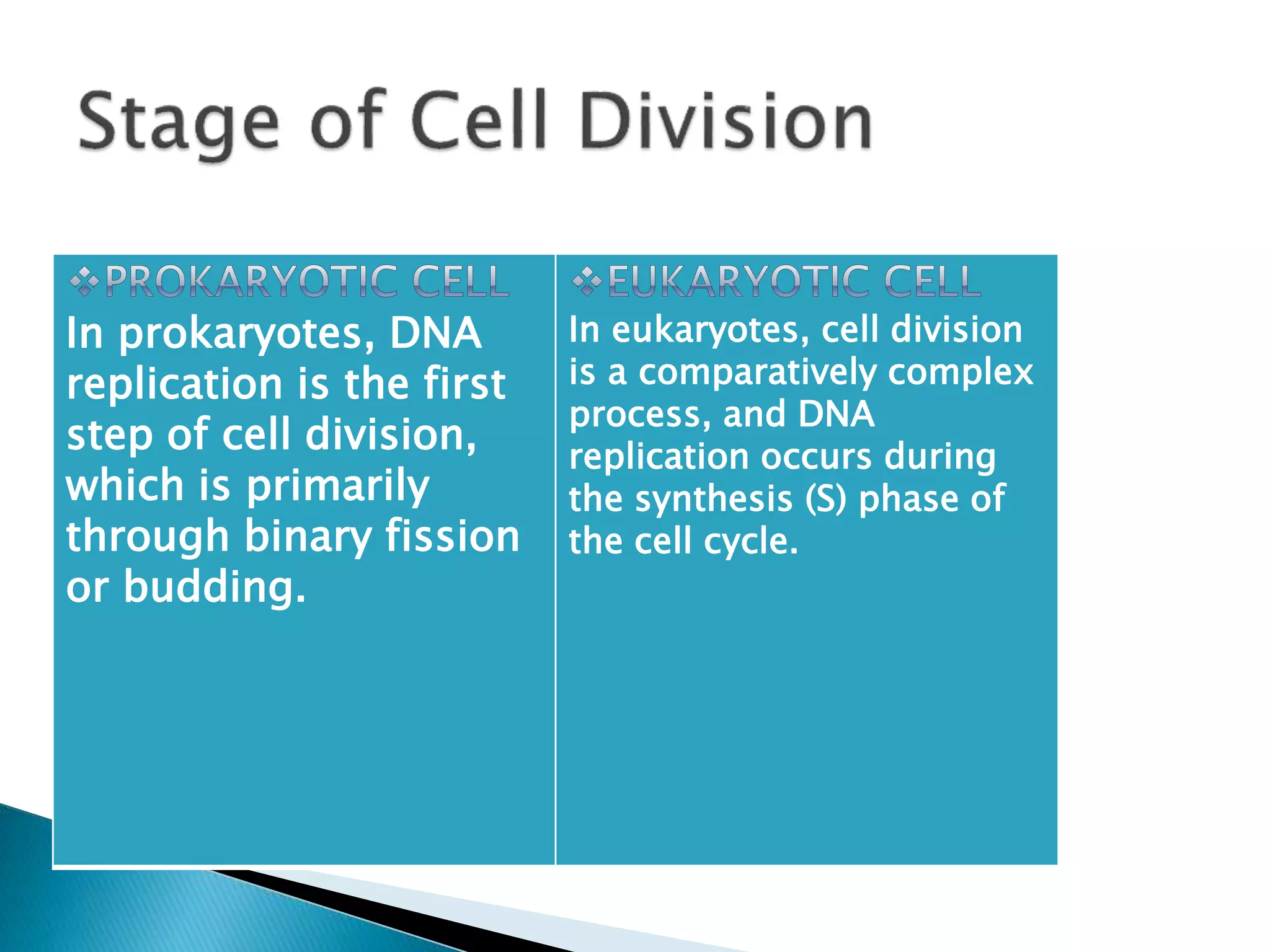 Replication In Eukaryotes and Prokaryotes | PPTX