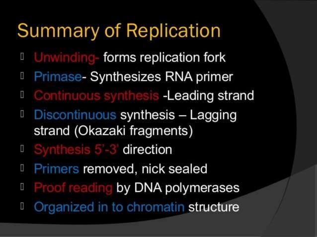Replication In Eukaryotes and Prokaryotes | PPTX | Biological Sciences ...