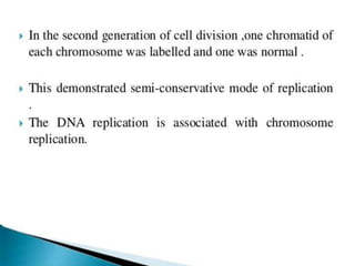 Replication In Eukaryotes and Prokaryotes | PPTX
