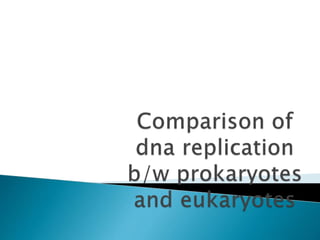 Replication In Eukaryotes and Prokaryotes | PPTX