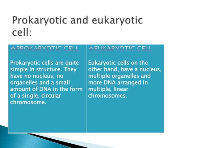 Replication In Eukaryotes and Prokaryotes | PPTX | Biological Sciences ...
