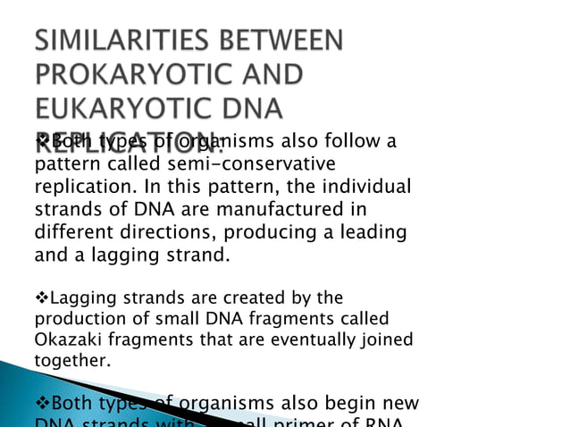 Replication In Eukaryotes and Prokaryotes | PPTX | Biological Sciences ...