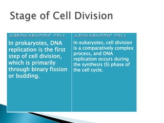 Replication In Eukaryotes and Prokaryotes | PPTX