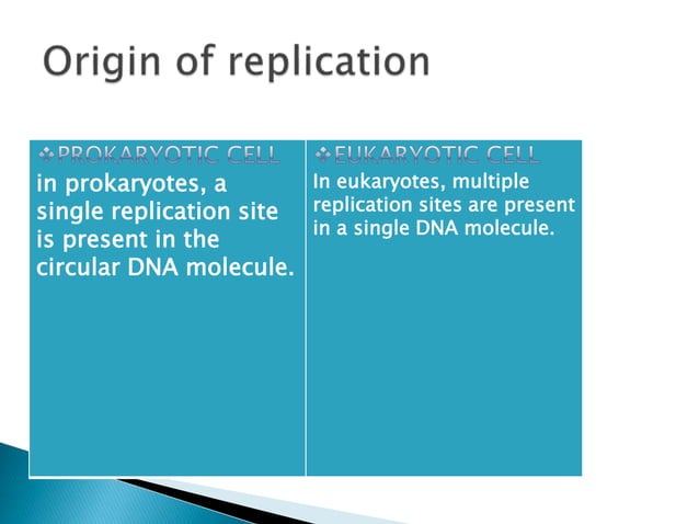 Replication In Eukaryotes and Prokaryotes | PPTX | Biological Sciences ...