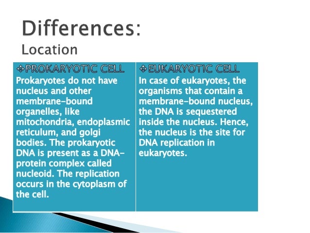 replication in eukaryotes and prokaryotes
