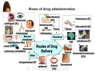 Route of drug administration
 