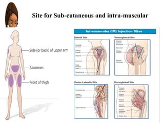 Site for Sub-cutaneous and intra-muscular
 