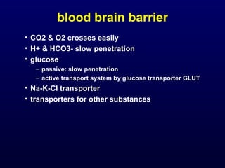 blood brain barrier
• CO2 & O2 crosses easily
• H+ & HCO3- slow penetration
• glucose
– passive: slow penetration
– active transport system by glucose transporter GLUT
• Na-K-Cl transporter
• transporters for other substances
 