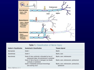 Md ophth neurophysiology