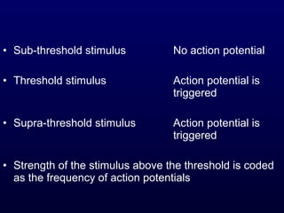 • Sub-threshold stimulus No action potential
• Threshold stimulus Action potential is
triggered
• Supra-threshold stimulus Action potential is
triggered
• Strength of the stimulus above the threshold is coded
as the frequency of action potentials
 