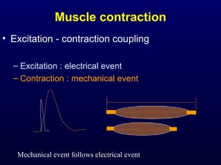 Muscle contraction
• Excitation - contraction coupling
– Excitation : electrical event
– Contraction : mechanical event
Mechanical event follows electrical event
 
